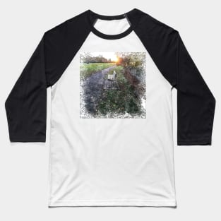 Park Bench at Sunset Baseball T-Shirt